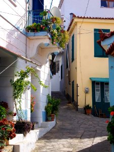 Manolates by Manolis Zannis