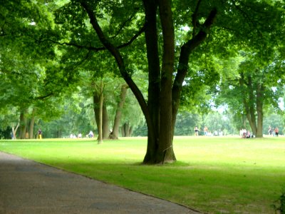 Forêt de Montgeon