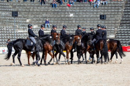 Quadrille 20161560