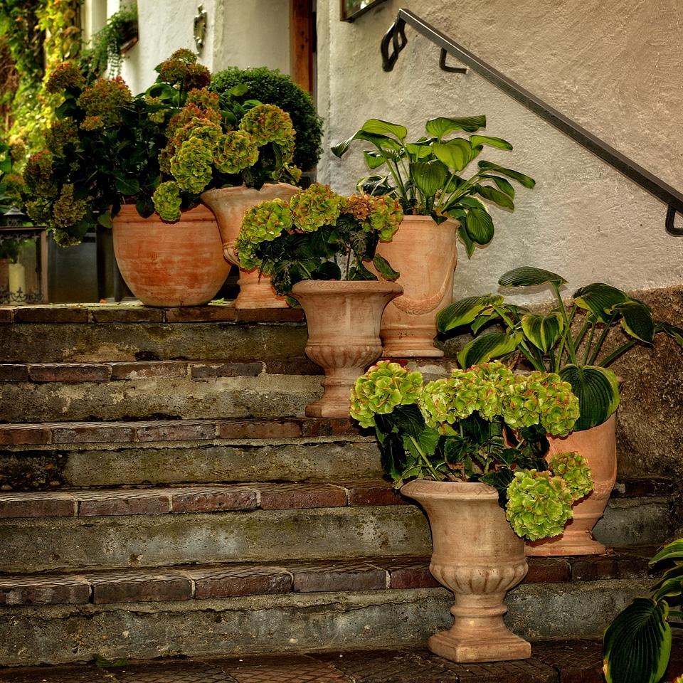 Staircase flowers decoration