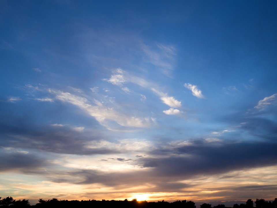 P5271179