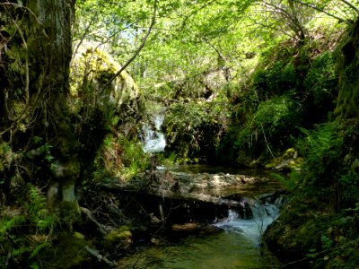 Trekking Familiar Noceda