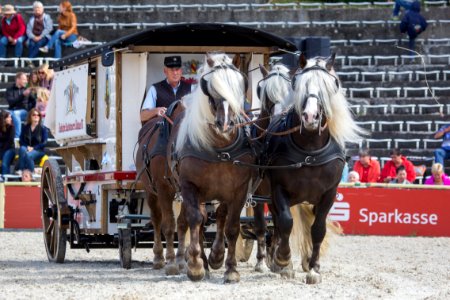 Brauereiwagen 20168332