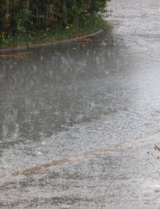 surface water