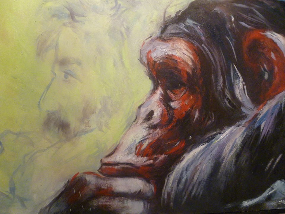 Image monkey hand drawn sketch