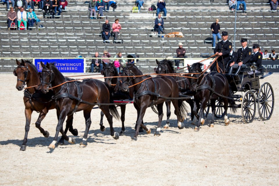 Sechser Zuege 20169446