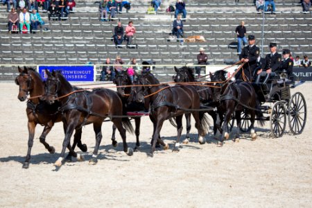 Sechser Zuege 20169446