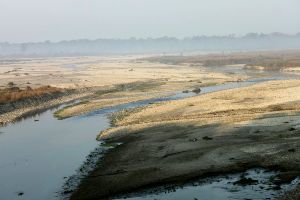 The river bed as seen from the watchtower, Chilapata forest