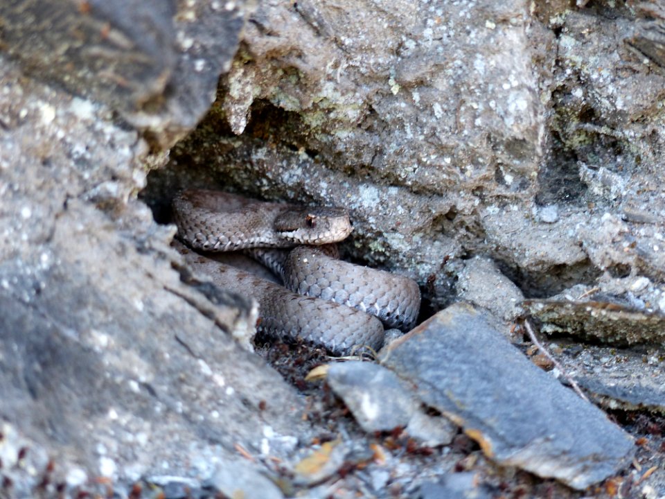 Trekking Familiar Noceda