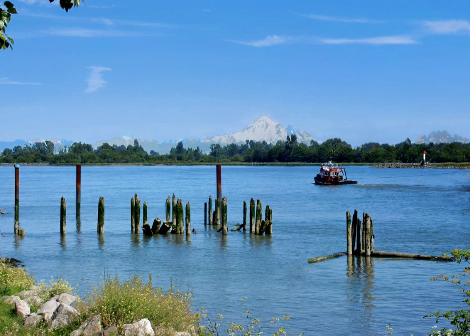View of Mount Baker from London Landing