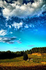 Field near Karlovasi