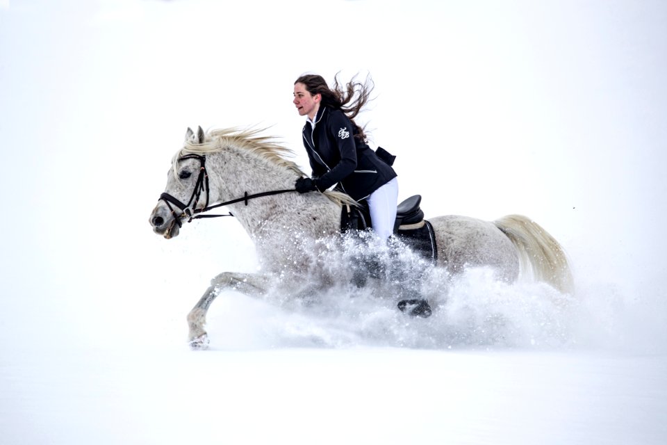 Pege OS200839