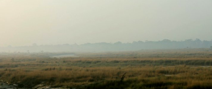Fog over the landscape, Chilapata photo