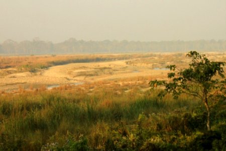 Near the watchtower, Chilapata