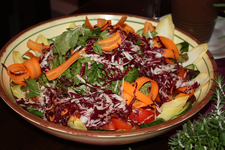 Tasty feed vegetarian