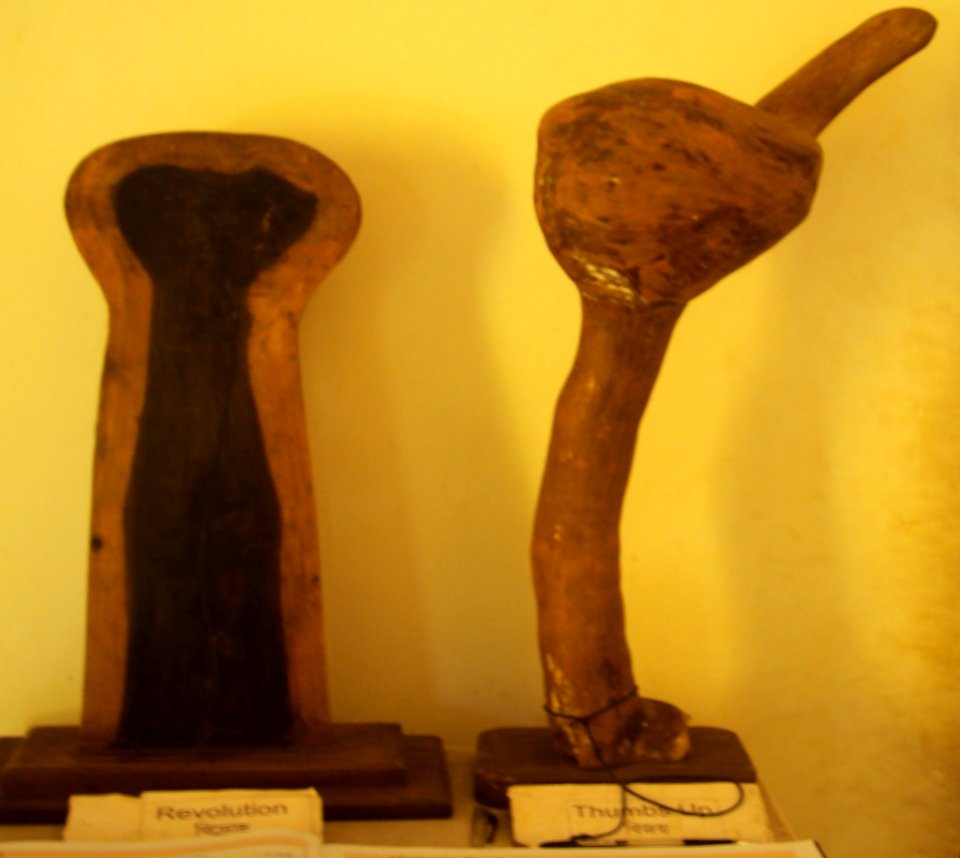 Revolution and Thumbs Up - At Prakriti Bhavan, a museum of natural sculptures