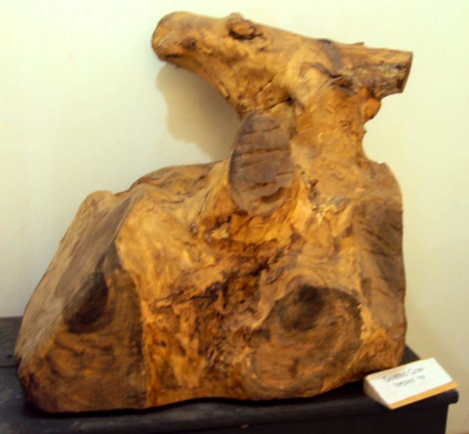 Resting cow - At Prakriti Bhavan, a museum of natural sculptures