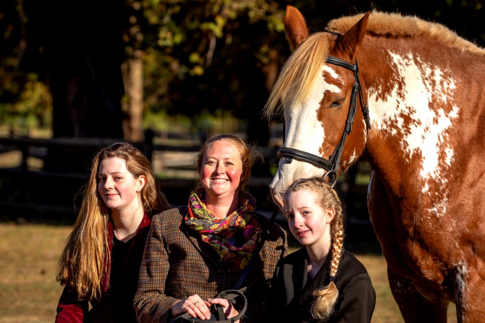 Whitehall Equestrian