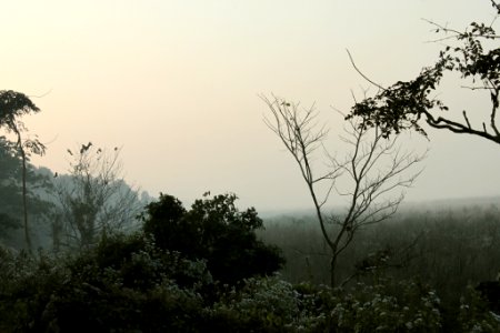 Landscape at sunrise near the watchtower