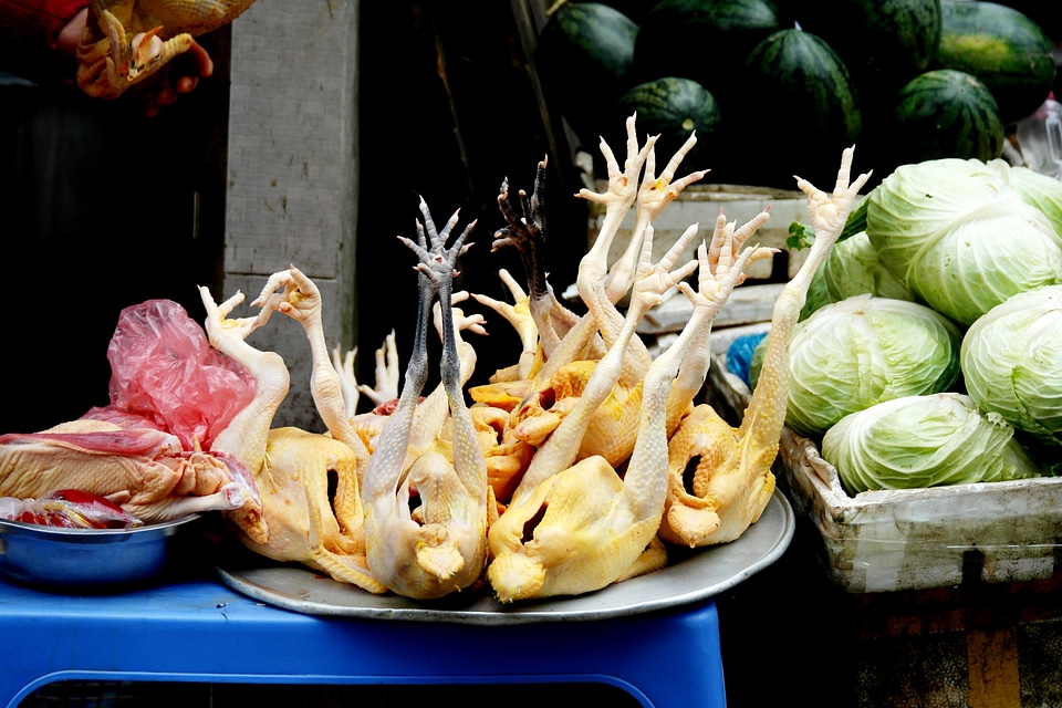 Fresh meal cooking