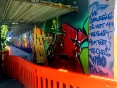 IMG 7351