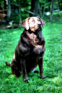 boonfield (50)