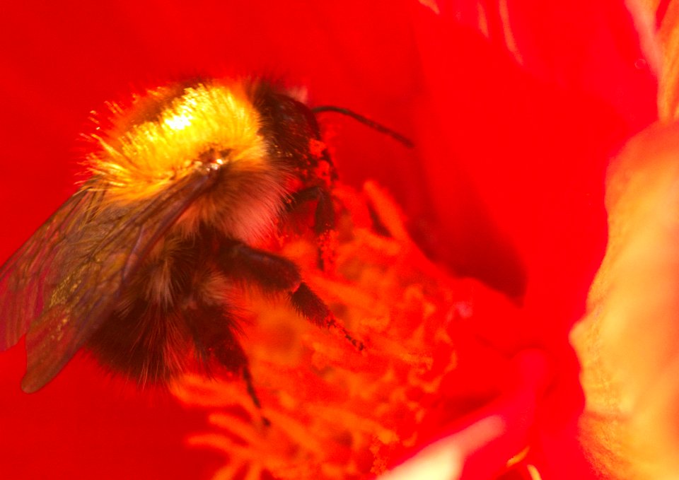 A4 IMG 2015 09 02 0160-1