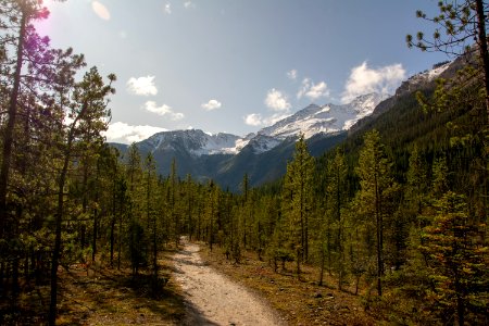 DSC 0851