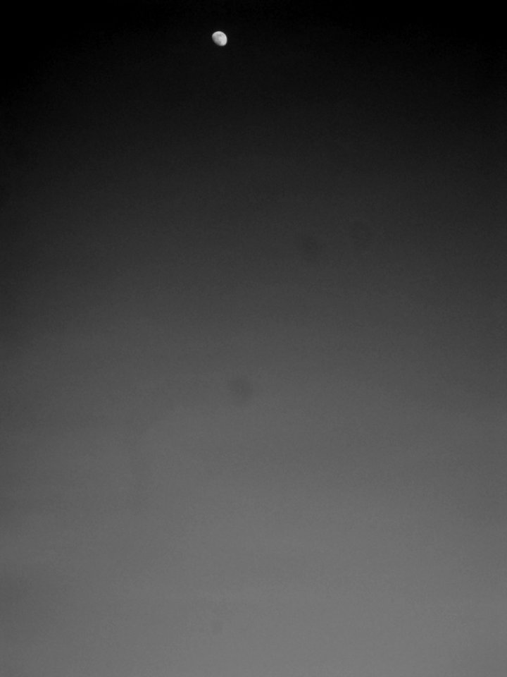 Moon In Black photo