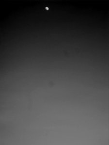 Moon In Black photo