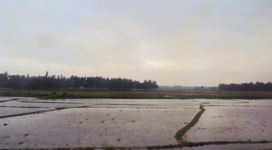 The sky clears for a while