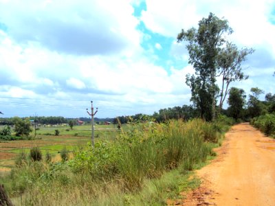 Green pastures and the open sky