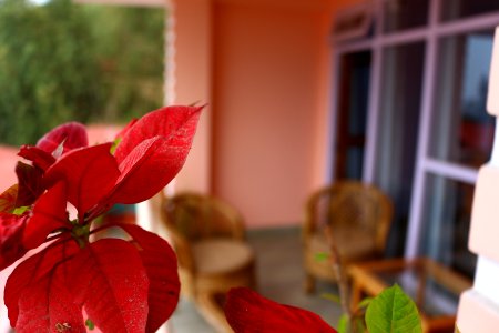 Balcony at Shikher Guest House, Kalimpong