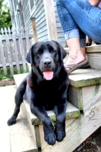 boonfield (84)