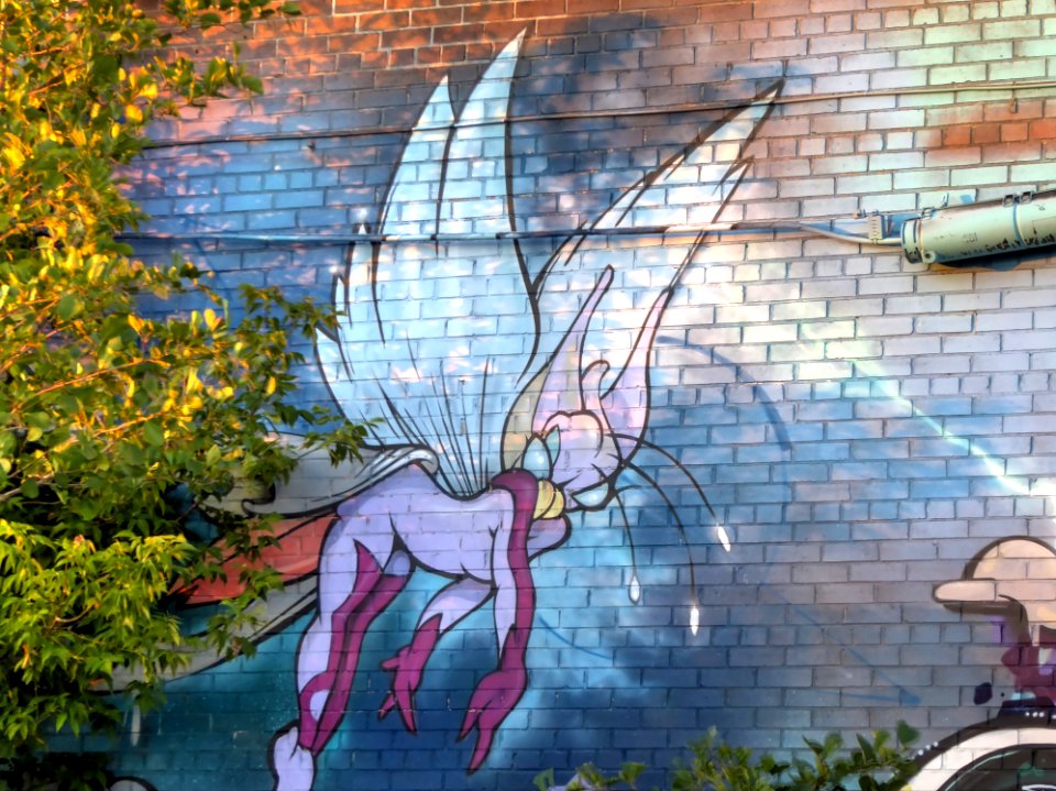 Fairy