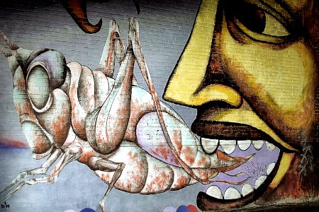 Fifth Trumpet of Revelation The Locusts from the Bottomless Pit