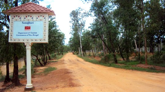 Entering Sonajhuri - Travelling through the village road