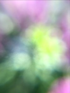 Free texture - Lilac bokeh
