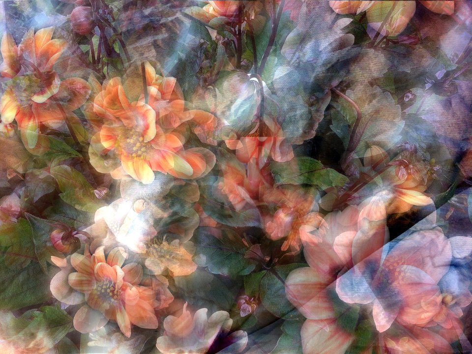 Free texture