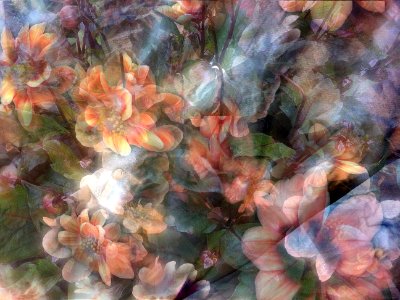 Free texture