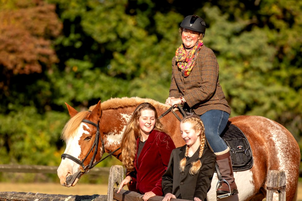 Whitehall Equestrian