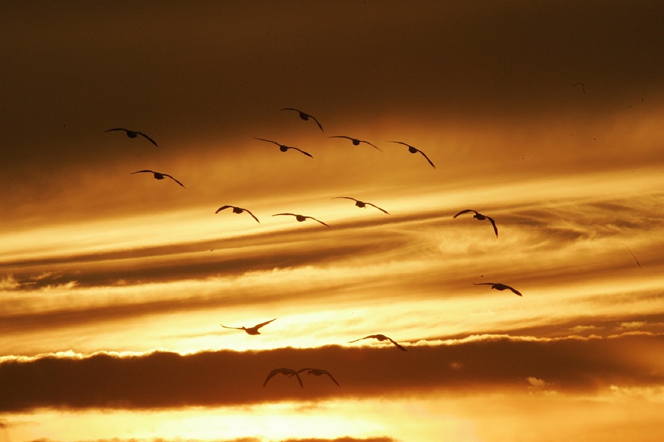 Dusk sunshine sky