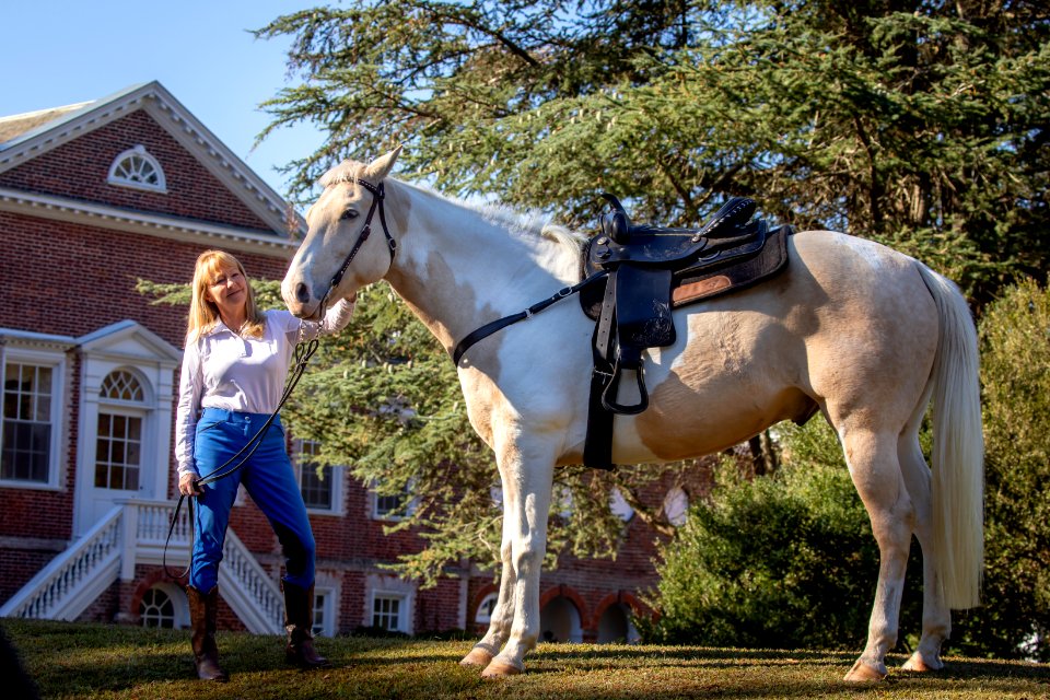 Whitehall Equestrian