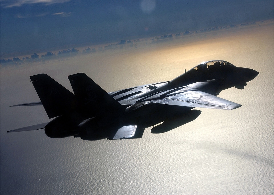 F-14 tomcat fighter