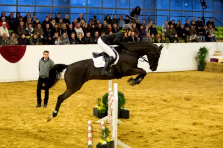 Donauabend 20161186