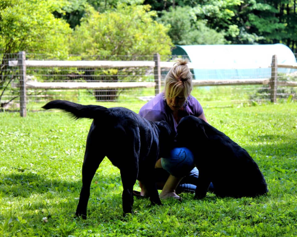 boonfield (6)