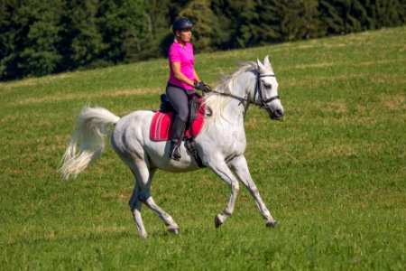 Dschesim 20166858