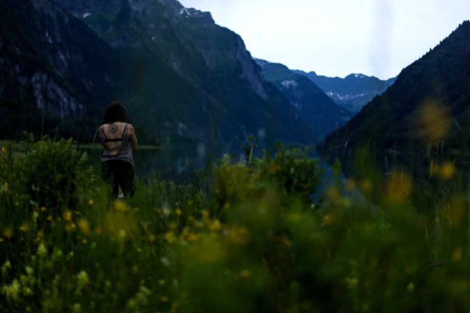 Landscape Portrait (Creative Commons )