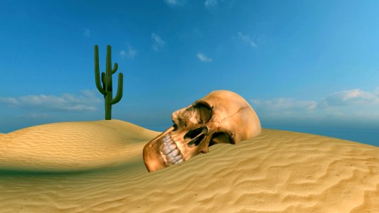 Mort dans le désert photo