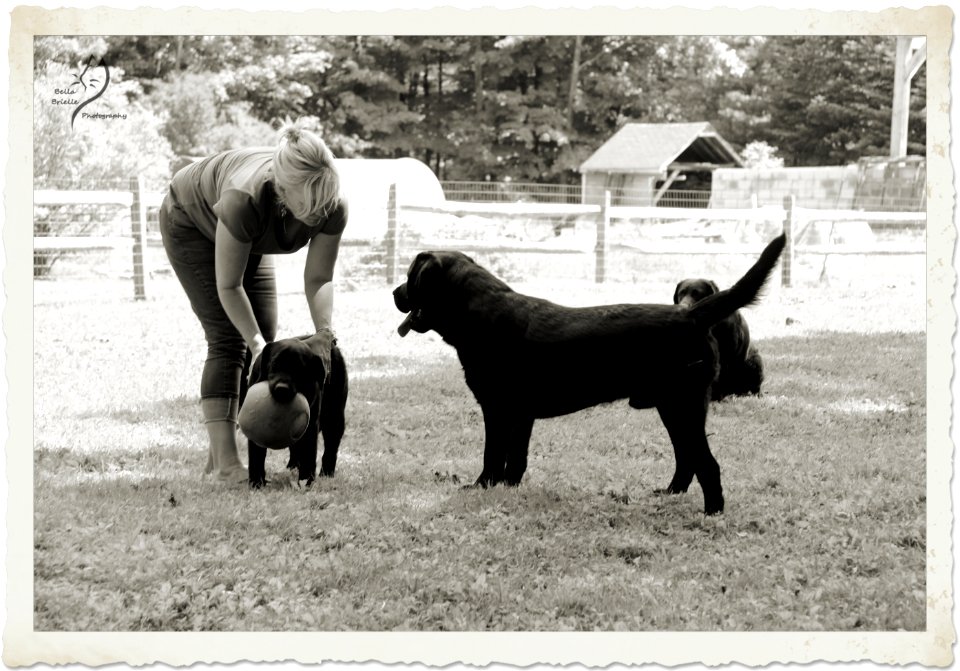 boonfield (5)